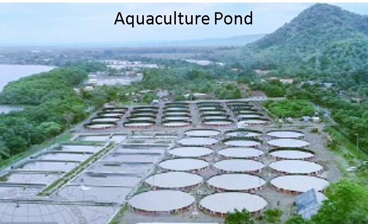 Aquaculture Pond