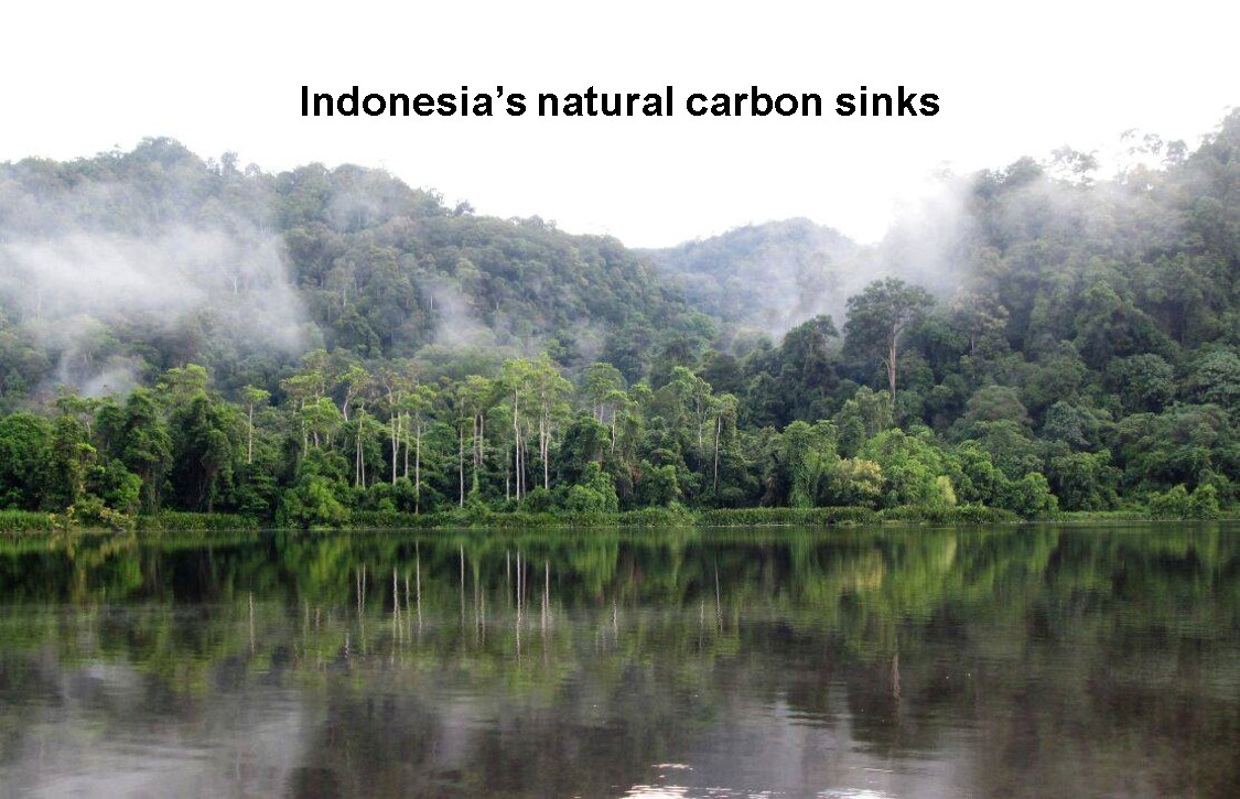 Indonesia's natural carbon sinks Indonesia's natural carbon sinks
