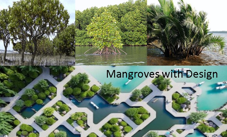 Mangrove Charity